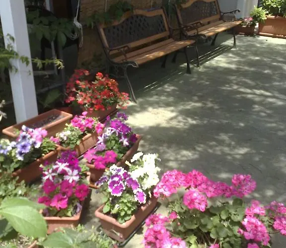 Lejlighed Verdemare Naxos *