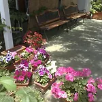 Appartement Verdemare Naxos *